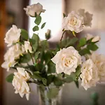 Tulipano Lägenhet