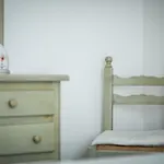 Tulipano *