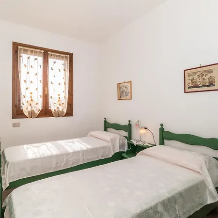 Tulipano Valledoria (Sardinia)