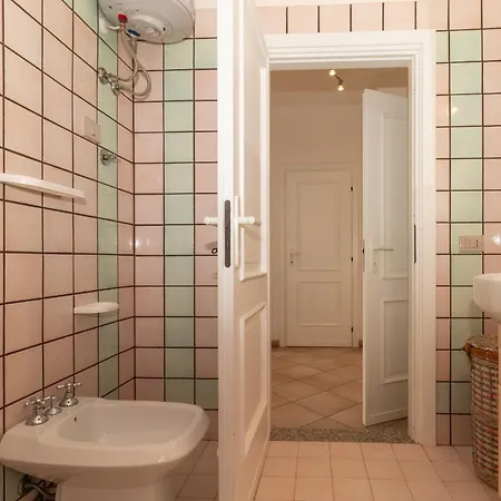 Tulipano * Valledoria (Sardinia)