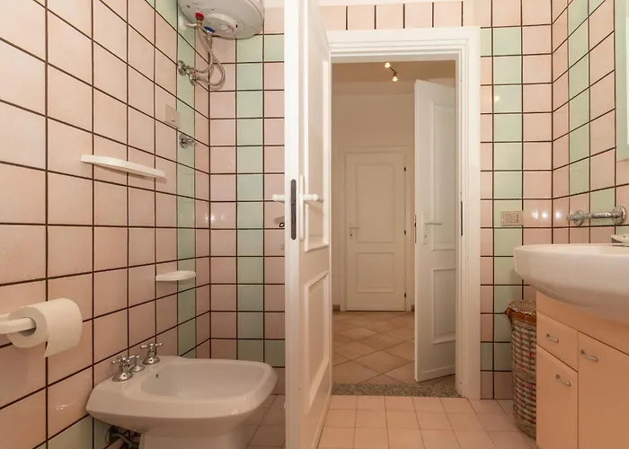 Tulipano * Valledoria (Sardinia)